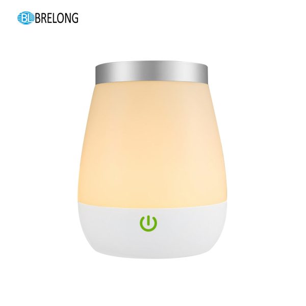 BRELONG LED Vase Night Light Indoor Desktop Flower Decor Aquarium Light
