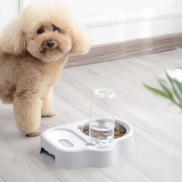 Cat Dog Automatic Drinking Bowl - Image 5