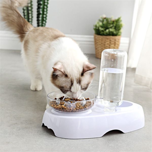 Cat Bowl 2-in-1 Food Water Feeder Bowl Automatic Waterer Bottle Inclined Design for Cats and Dogs - Image 5