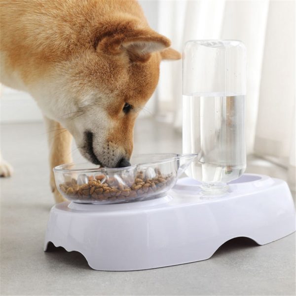 Cat Bowl 2-in-1 Food Water Feeder Bowl Automatic Waterer Bottle Inclined Design for Cats and Dogs - Image 10