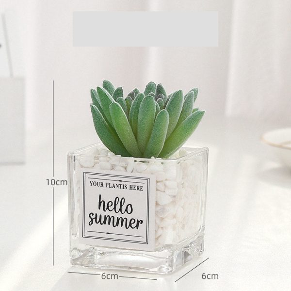 Artificial Succulent Plants Leaf Desktop Decoration Portable Stones Glass Bottle - Image 3