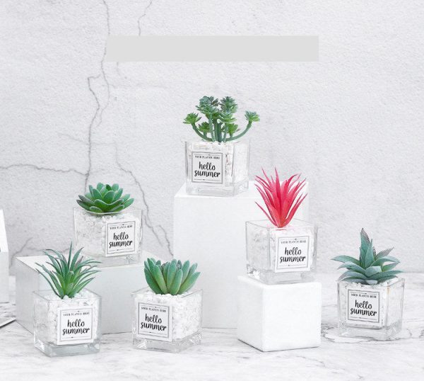 Artificial Succulent Plants Leaf Desktop Decoration Portable Stones Glass Bottle - Image 4