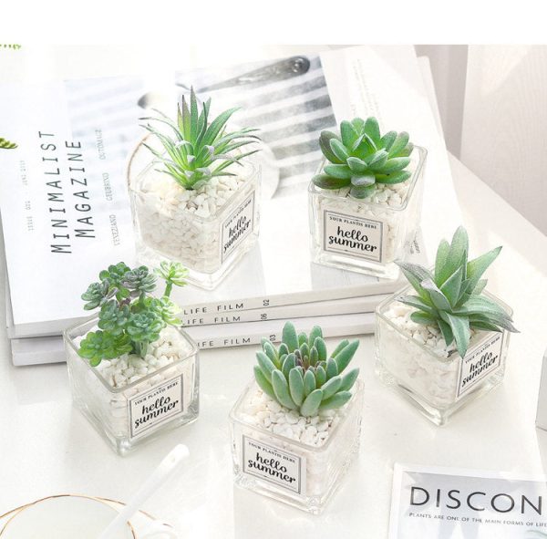 Artificial Succulent Plants Leaf Desktop Decoration Portable Stones Glass Bottle - Image 5