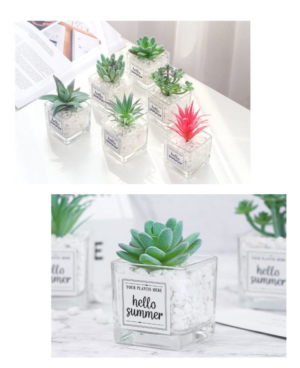 Artificial Succulent Plants Leaf Desktop Decoration Portable Stones Glass Bottle - Image 6